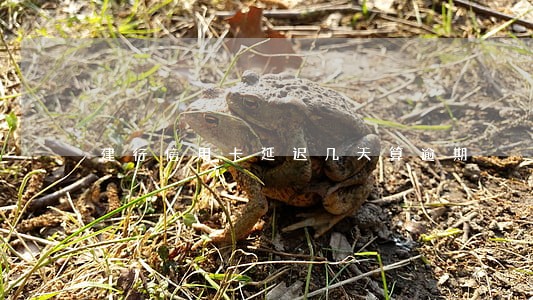 建行信用卡延迟几天算逾期 建行信用卡延迟几天算逾期