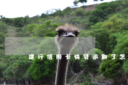 建行信用卡快贷逾期了怎么办 建行信用卡快贷逾期了怎么办