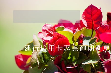 建行信用卡恶意逾期利息 建行信用卡恶意逾期利息