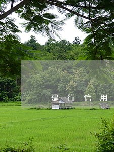 建行信用卡新卡可以覆盖逾期记录 建行信用卡新卡可以覆盖逾期记录