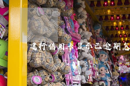 建行信用卡显示已逾期怎么办