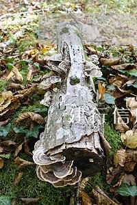 建行信用卡晚还4天算逾期吗