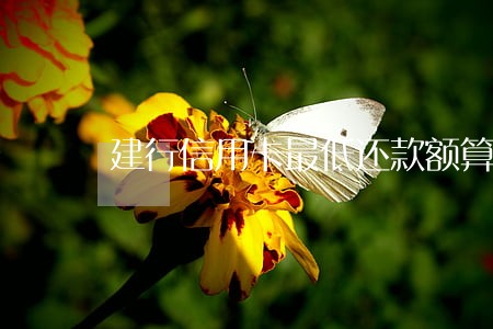 建行信用卡最低还款额算逾期吗 建行信用卡最低还款额算逾期吗
