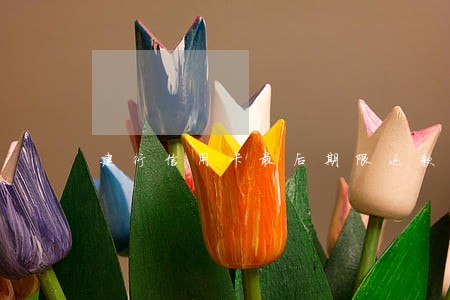建行信用卡最后期限还款显示逾期