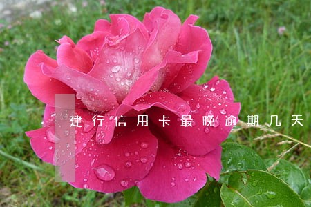 建行信用卡最晚逾期几天 建行信用卡最晚逾期几天