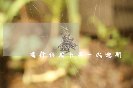 建行信用卡有一次逾期 建行信用卡有一次逾期