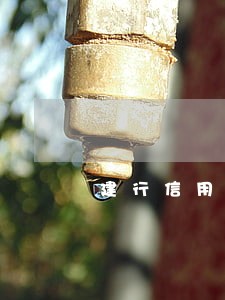 建行信用卡有没有只还本金的 建行信用卡有没有只还本金的