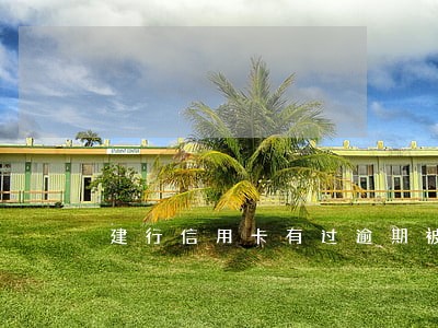 建行信用卡有过逾期被停用