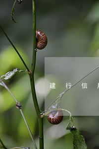 建行信用卡有逾期 建行信用卡有逾期