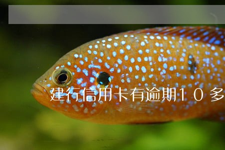 建行信用卡有逾期10多天