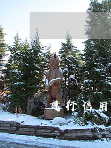 建行信用卡有逾期多久会上门 建行信用卡有逾期多久会上门