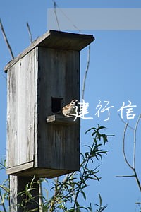 建行信用卡本金一万八逾期