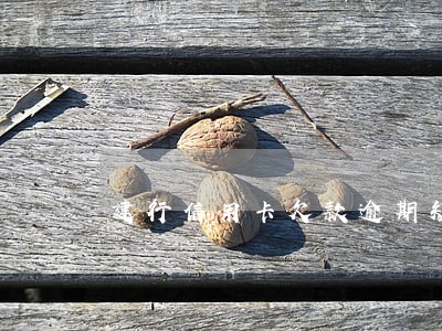 建行信用卡欠款逾期短信 建行信用卡欠款逾期短信