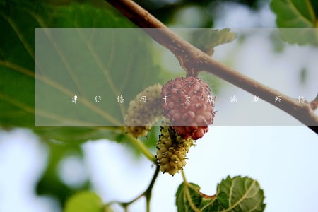 建行信用卡欠款逾期短信内容