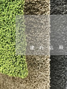 建行信用卡没有逾期为什么会停卡 建行信用卡没有逾期为什么会停卡