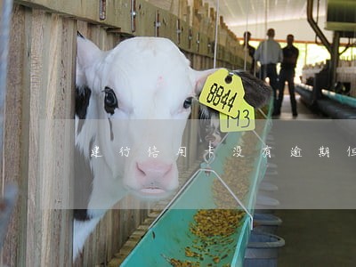 建行信用卡没有逾期但是被停用了 建行信用卡没有逾期但是被停用了