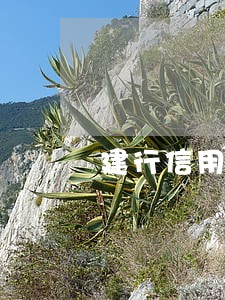 建行信用卡没有逾期被冻结了