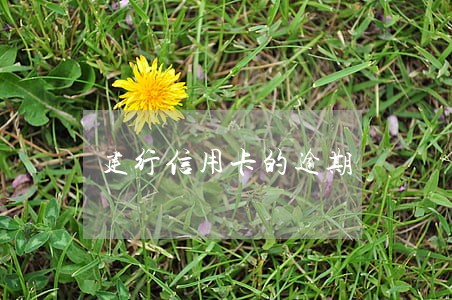 建行信用卡的逾期 建行信用卡的逾期