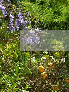 建行信用卡能逾期6天 建行信用卡能逾期6天