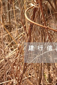建行信用卡能逾期几次 建行信用卡能逾期几次