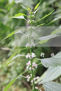 建行信用卡装修贷逾期坐牢 建行信用卡装修贷逾期坐牢