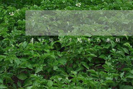 建行信用卡账单已逾期