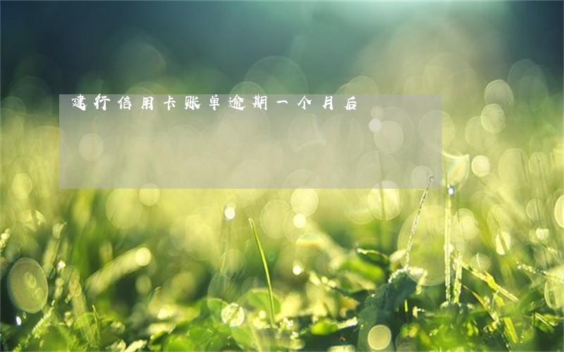 建行信用卡账单逾期一个月后