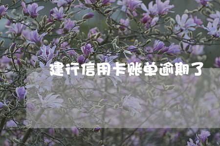 建行信用卡账单逾期了 建行信用卡账单逾期了
