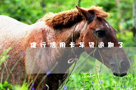 建行信用卡车贷逾期了 建行信用卡车贷逾期了