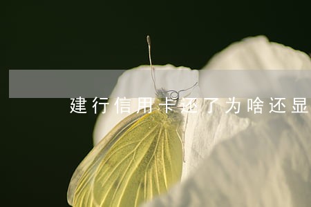 建行信用卡还了为啥还显示逾期