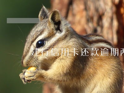 建行信用卡还款逾期两个小时 建行信用卡还款逾期两个小时