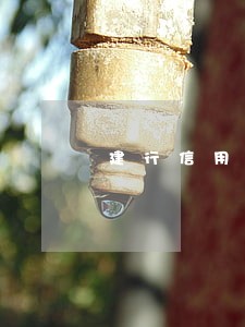 建行信用卡还款逾期利息怎么算