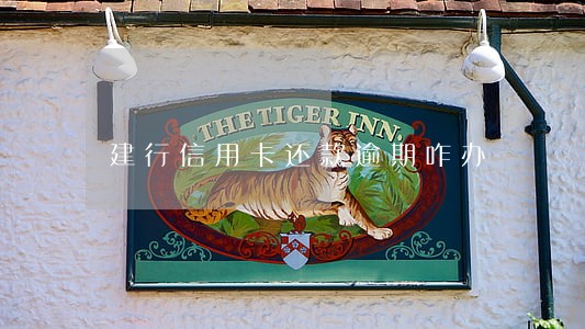 建行信用卡还款逾期咋办