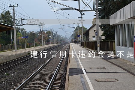 建行信用卡违约金是不是逾期了 建行信用卡违约金是不是逾期了