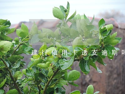 建行信用卡透支逾期吗