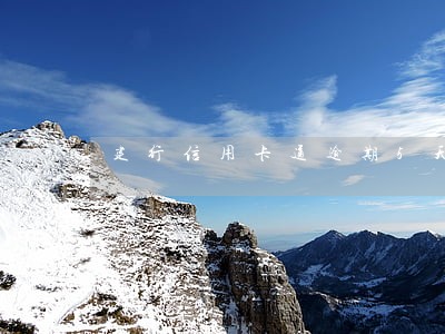 建行信用卡通逾期5天会 建行信用卡通逾期5天会