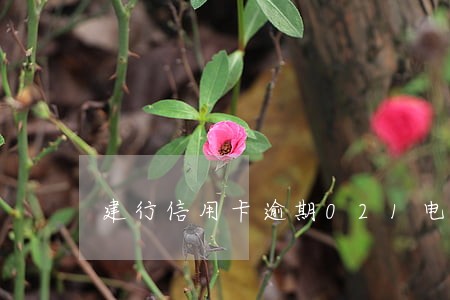 建行信用卡逾期021电话 建行信用卡逾期021电话