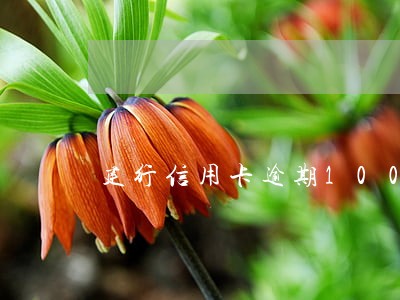 建行信用卡逾期100元 建行信用卡逾期100元