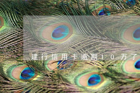 建行信用卡逾期10万了 建行信用卡逾期10万了