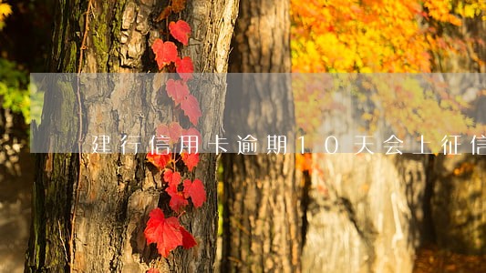 建行信用卡逾期10天会上征信 建行信用卡逾期10天会上征信