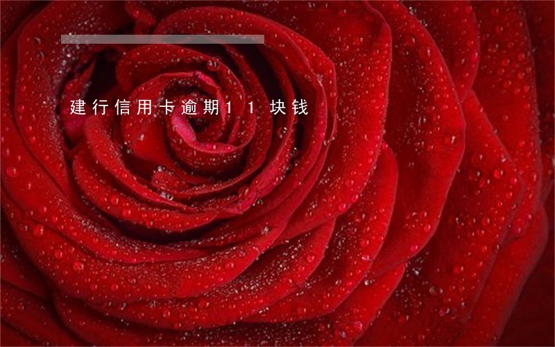 建行信用卡逾期11块钱 建行信用卡逾期11块钱