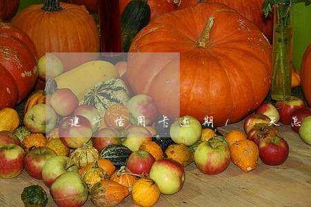建行信用卡逾期11天怎么办