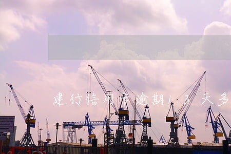 建行信用卡逾期13天多少钱