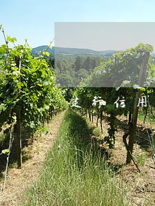 建行信用卡逾期15天严重吗