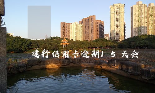建行信用卡逾期15天会 建行信用卡逾期15天会