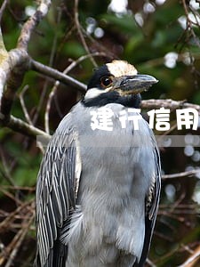 建行信用卡逾期15天冻结了 建行信用卡逾期15天冻结了