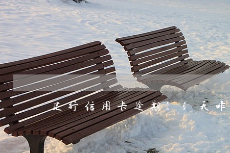 建行信用卡逾期15天咋办 建行信用卡逾期15天咋办