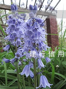 建行信用卡逾期15天有什么后果 建行信用卡逾期15天有什么后果