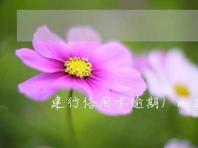 建行信用卡逾期1w2 建行信用卡逾期1w2