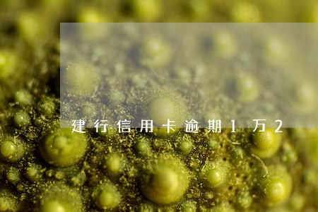 建行信用卡逾期1万2 建行信用卡逾期1万2